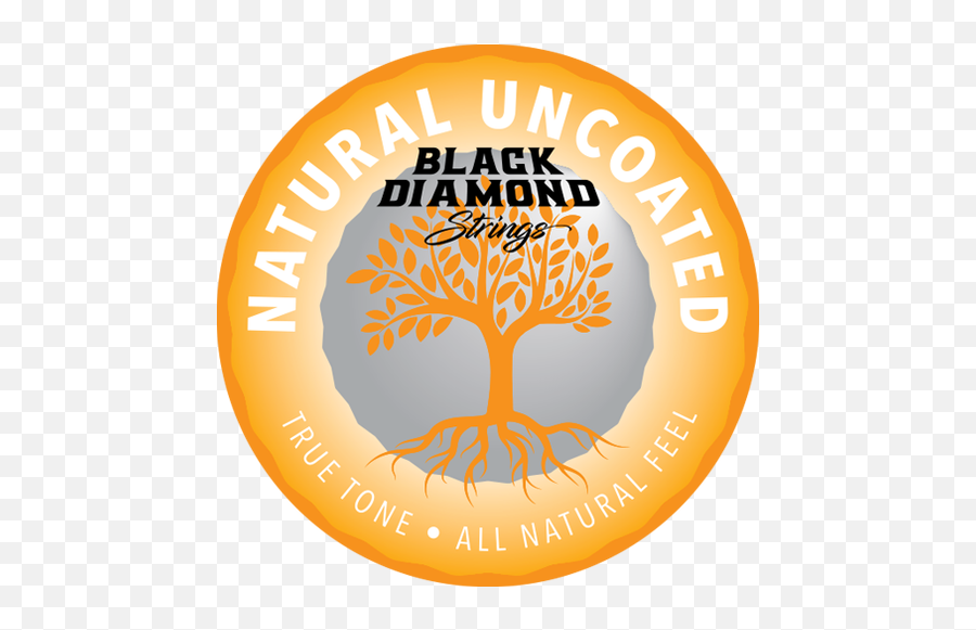 Custom Set - Make Your Own Custom Electric String Set Language Png,String Icon