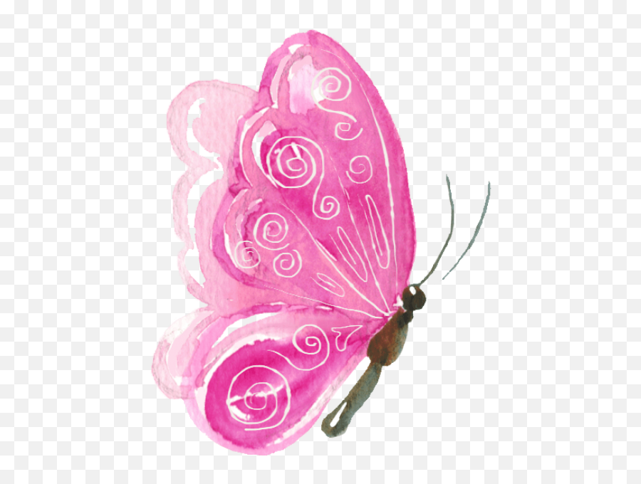Free Online Butterfly Animal Watercolor Painting Vector For - Pink Butterfly Watercolor Vector Png,Watercolor Instagram Logo