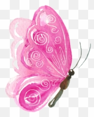 Free Online Butterfly Animal Watercolor Painting Vector For - Pink png
