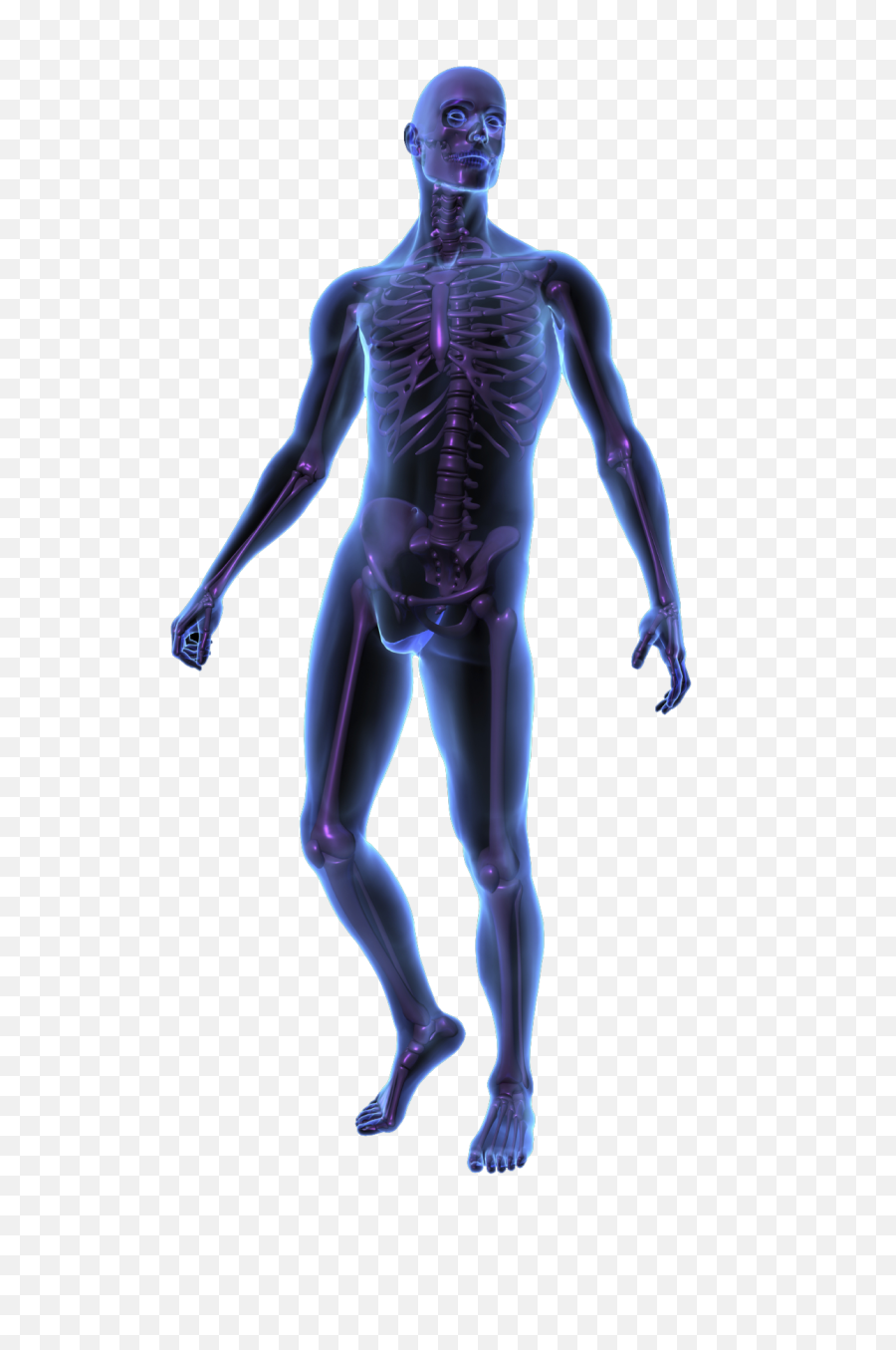 Human Body Silhouette Png - X Ray Human Body Full Size Png Functions Of Testosterone In Males,X Ray Png