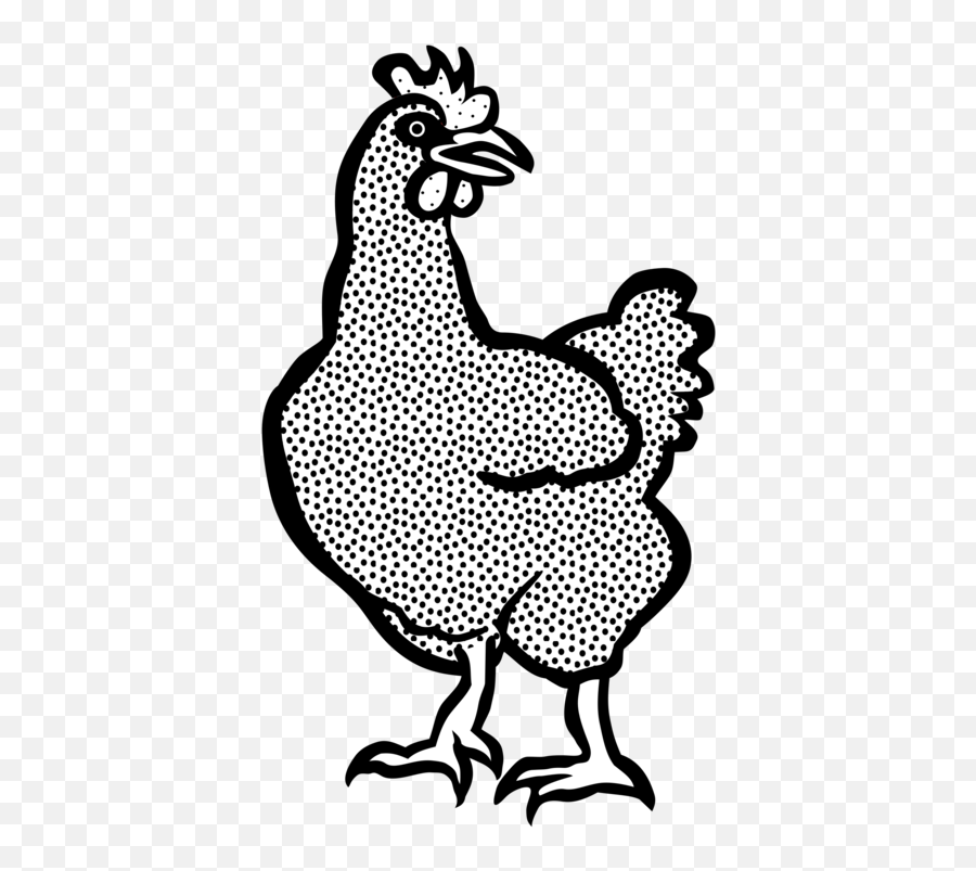 As Food Drawing Coloring Book Rooster - Kind Of Chicken Clipart Black And White Png,Chicken Transparent