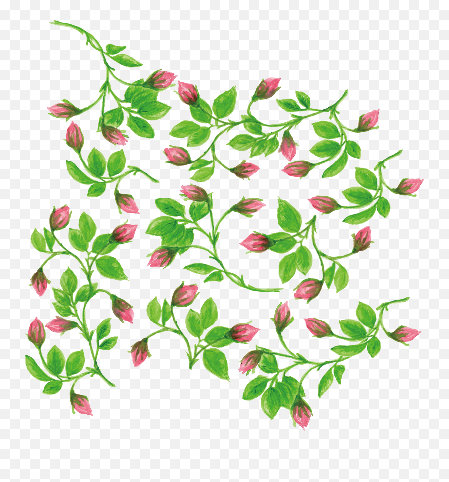 Fruit Water Splash Clipart Vine - Vines And Flowers Watercolor Png,Transparent Vine