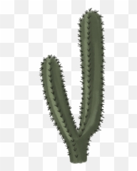 Download Free Png Cactus Clipart - Transparent Cactus Png,Cactus Clipart Png