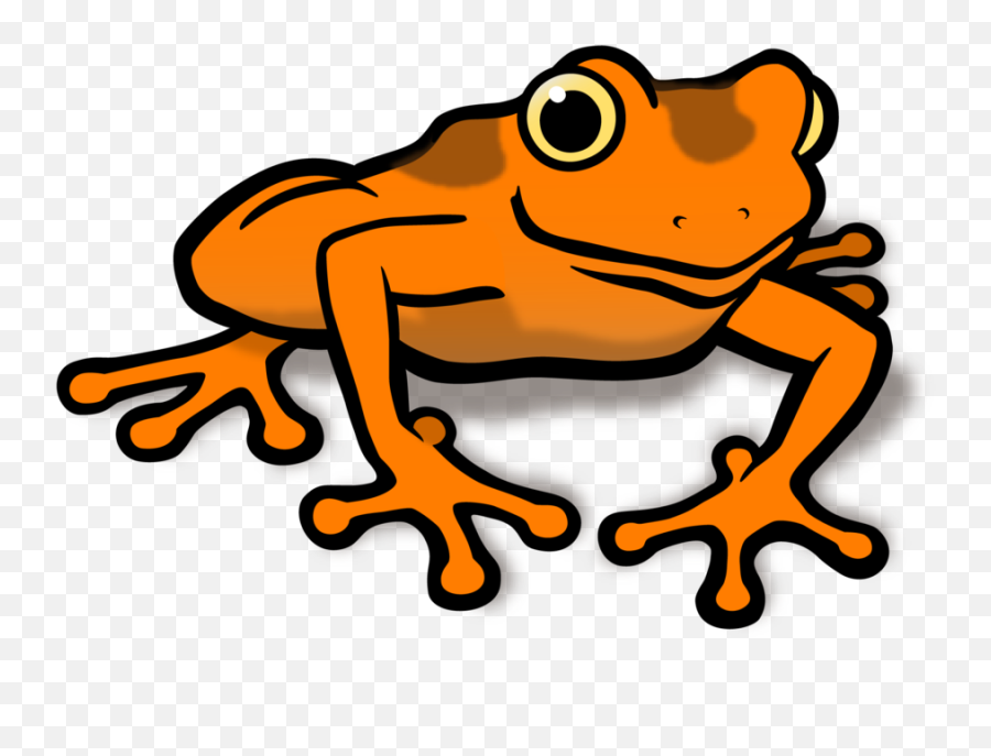 Download Orange Clipart Frog - Clipart Frog Full Size Png Clipart Frog,Frog Clipart Png