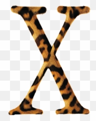 Mac Os X 102 Jaguar Disney Characters Logo Icons - Macos png