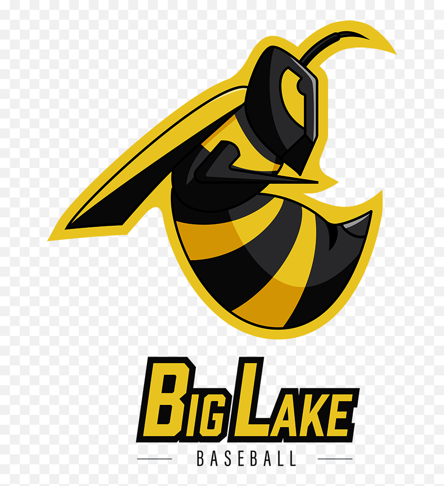Ivan Witteborg Graphic Designer - Big Lake Baseball Hornet Logo Bumblebee Png,Hornets Logo Png