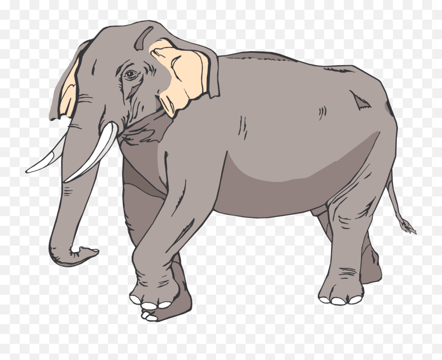 Asian Elephant Clip Art - Elefant Clipart Png,Elephants Png