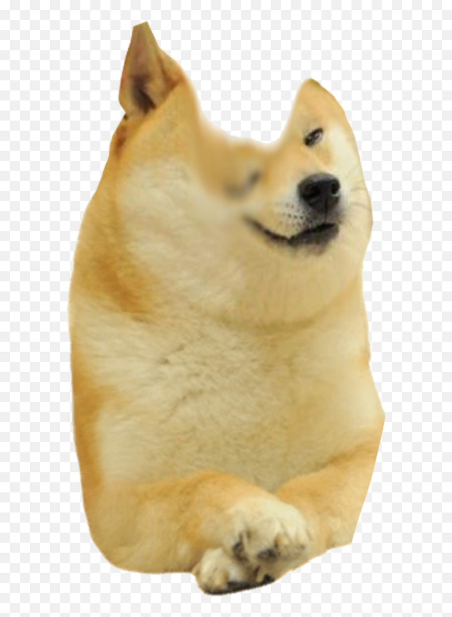 Dogelore - Baby Doge With Hat Png,Retard Png