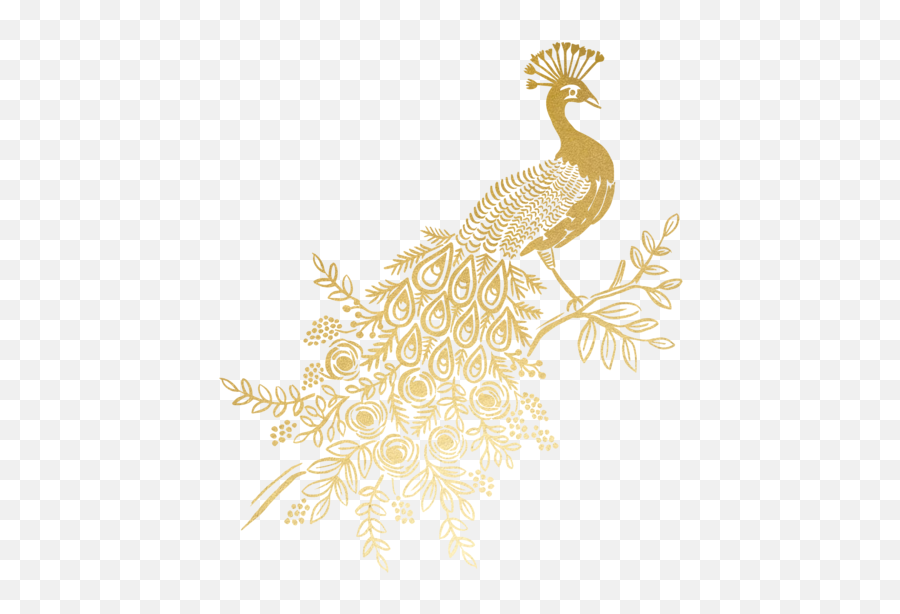 Gold Peacock - Winter Palace Png,Peacock Feather Png