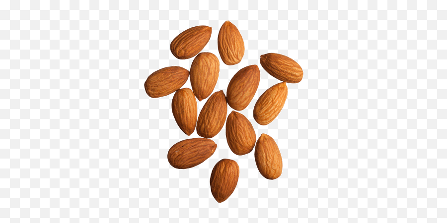 Almond Png - Almonds For Photoshop,Almond Transparent