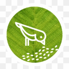 Bird With Green Circle Logo - Emblem png