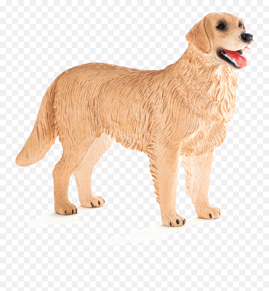 Animal Planet Golden Retriever - Elephanta Elephanta Golden Retriever Png,Golden Retriever Png