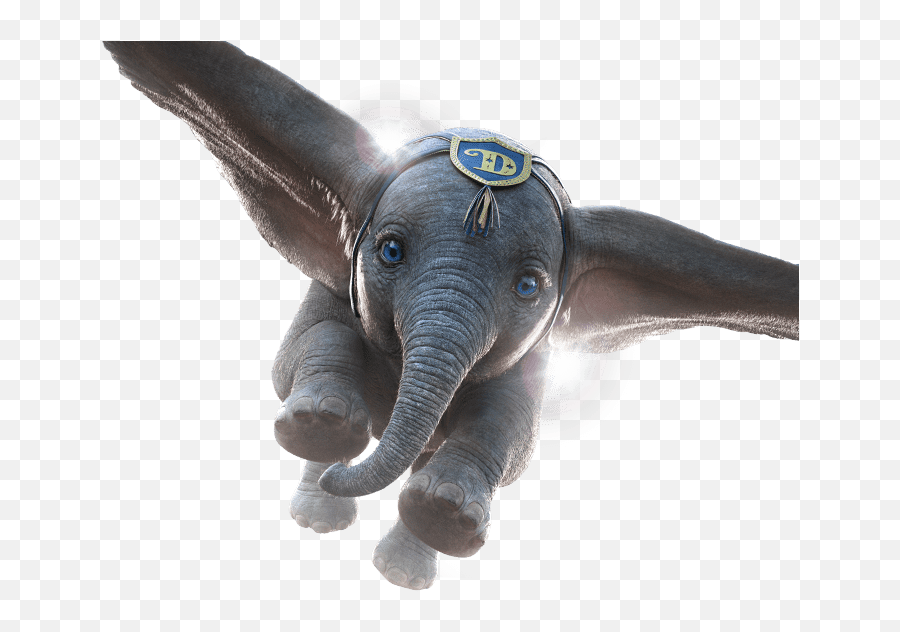 Transparent Png Image Download - Dumbo Film Png,Dumbo Png