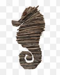 Download Transparent Wood Plaque Png - Beachy Kings Pipefishes And Allies,Driftwood Png