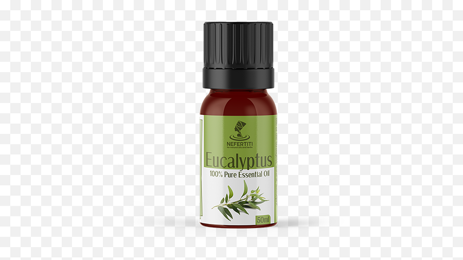 Eucalyptus Oil - Vanilla Essential Oil Png,Eucalyptus Png