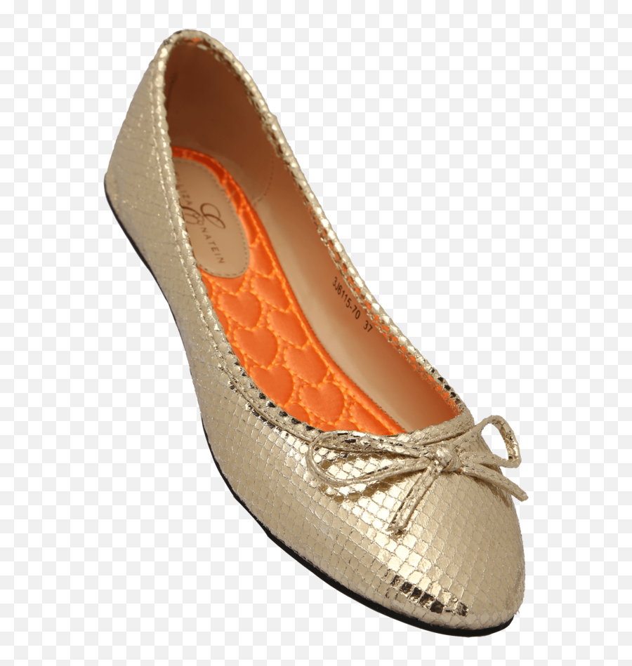 Download Womens Casual Slipon Ballerina Shoe - Ballet Flat Round Toe Png,Ballet Shoes Png