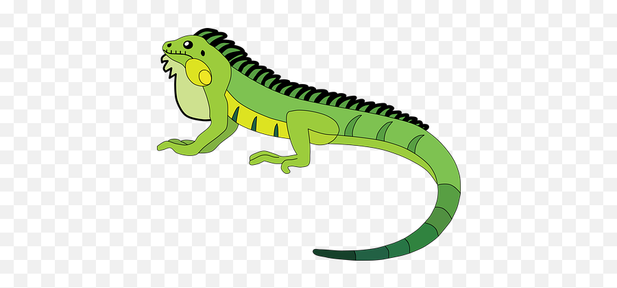 30 Free Iguana U0026 Lizard Vectors - Pixabay Animal Figure Png,Iguana Transparent Background