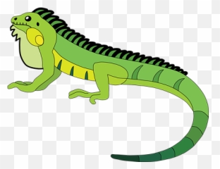 30 Free Iguana U0026 Lizard Vectors - Pixabay Animal Figure png