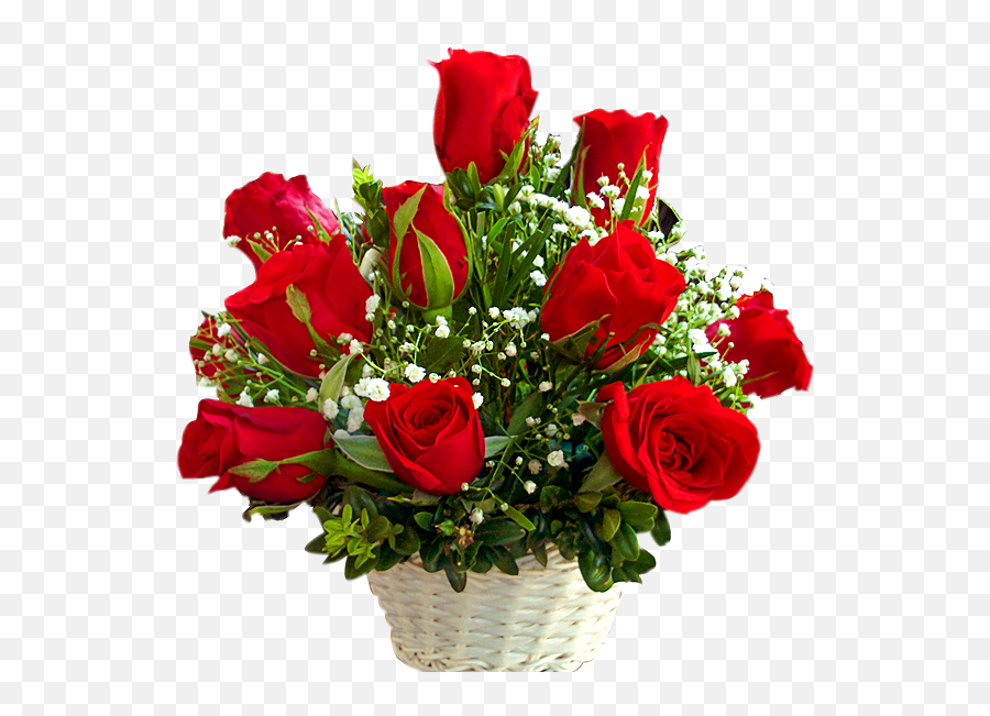 24 Red Roses Basket - Red Rose Flower Transparent Background Png,Red Roses Png