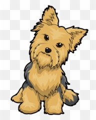 Yorkshire Terrier Puppy Maltese Dog - Yorkshire Terrier Clipart Png,Yorkie Png