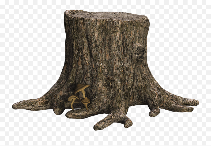 Download Tree Stump Png Image With - Transparent Tree Stump Png,Stump Png