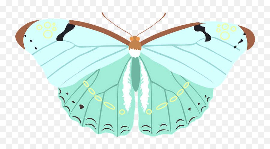 Butterfly Clipart - Butterflies Png,Butterfly Transparent Png