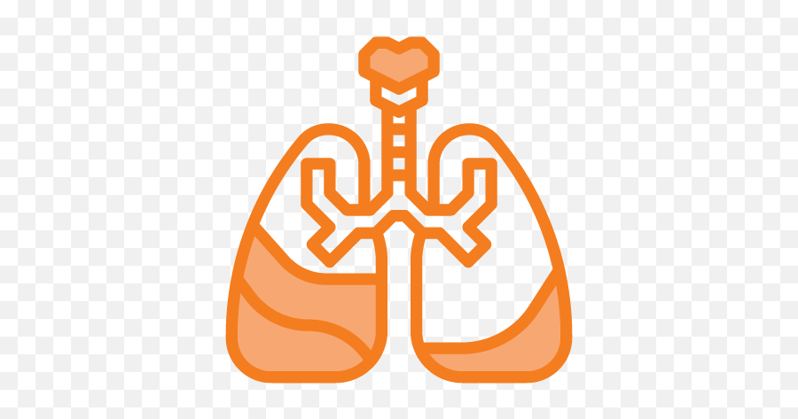 Services Sms Physical Therapy Png Respiratory Icon