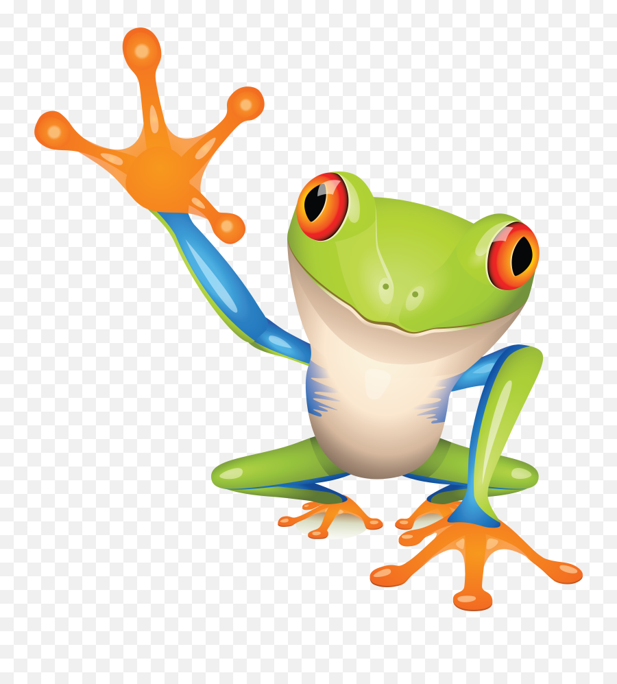 Frog Png - Red Eyed Tree Frog Cartoon,Transparent Frog