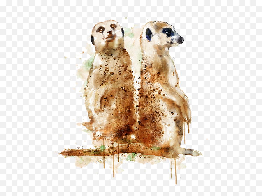 Meerkats Onesie For Sale - Meerkat Art Png,Meerkat Icon