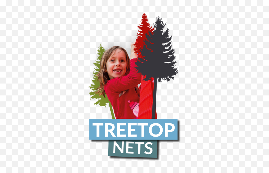 Treetop Nets - Christmas Tree Png,Tree From Above Png
