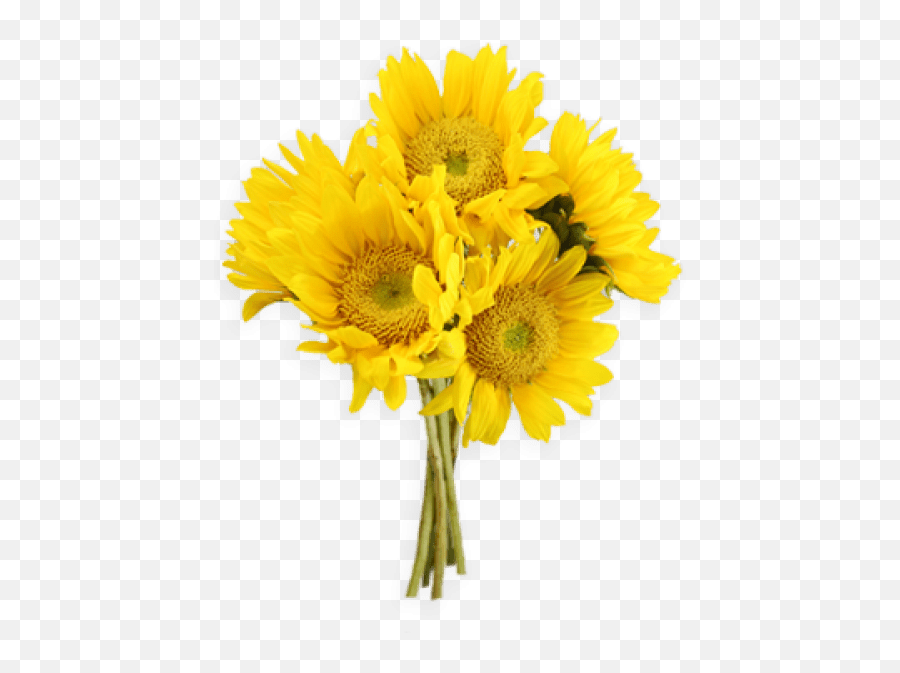 Download Free Png Sunflowers Images Transparent - Yellow Flowers Bouquet Png,Flower Bunch Png