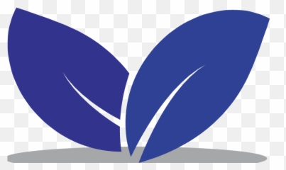 Home - Vietnam Woodchip Leaf Icon Vector Png