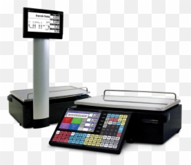 Scales - Shammam Consulting Services png