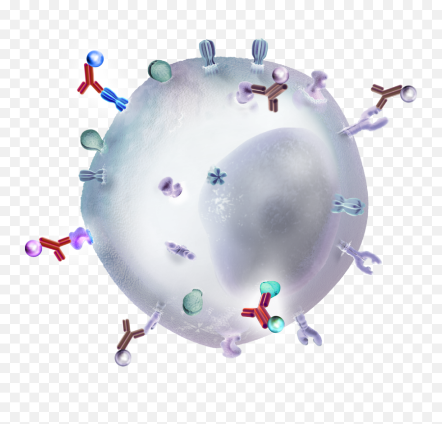 Immunology Gateway - 10x Genomics Png,Flow Cytometry Icon