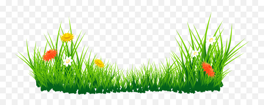 Library Of Png Flower Clipart Transparent Stock Files - Green Grass Png,????? Png