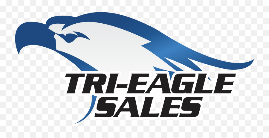 The Beach Boys - Tri Eagle Sales Ocala Png,The Beach Boys Logo