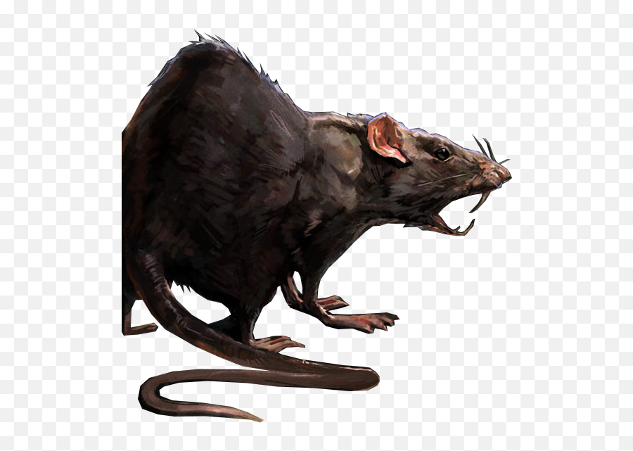 Dead Rat Png Picture 817382 - Rat Concept Art,Rats Png