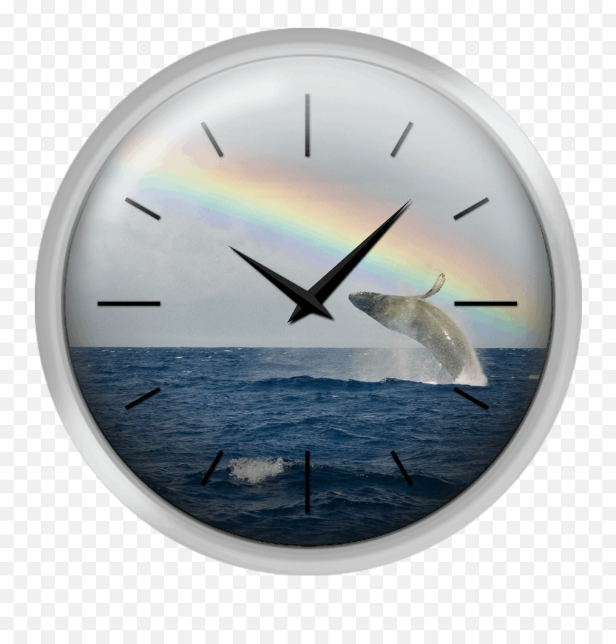 Xpress Clocks - Gallery Humpback Whale Rainbow Breach Wall Clock Png,Humpback Whale Png