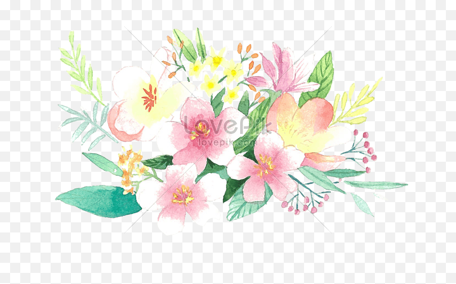 Flower Border Illustration Imagepicture Free Download - Peruvian Lily Png,Transparent Floral Border