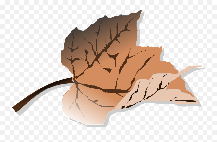 Dlpc47 Dead Leaf Png Clipart Pack 6641 - Dead Leaves Clipart,Tree Leaves Png