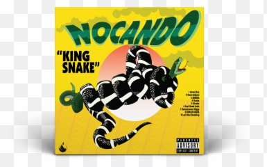 Alex Foster - NOCANDO Album Cover png