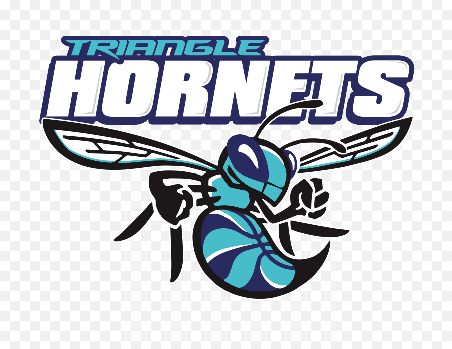 Hornet Logo - Logo Charlote Hornets Png,Hornets Logo Png