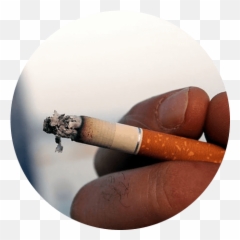 Air Purifiers For Cigarette Smoke Removal Blueair - Real Cigarette Smoking Png,Tobacco Png