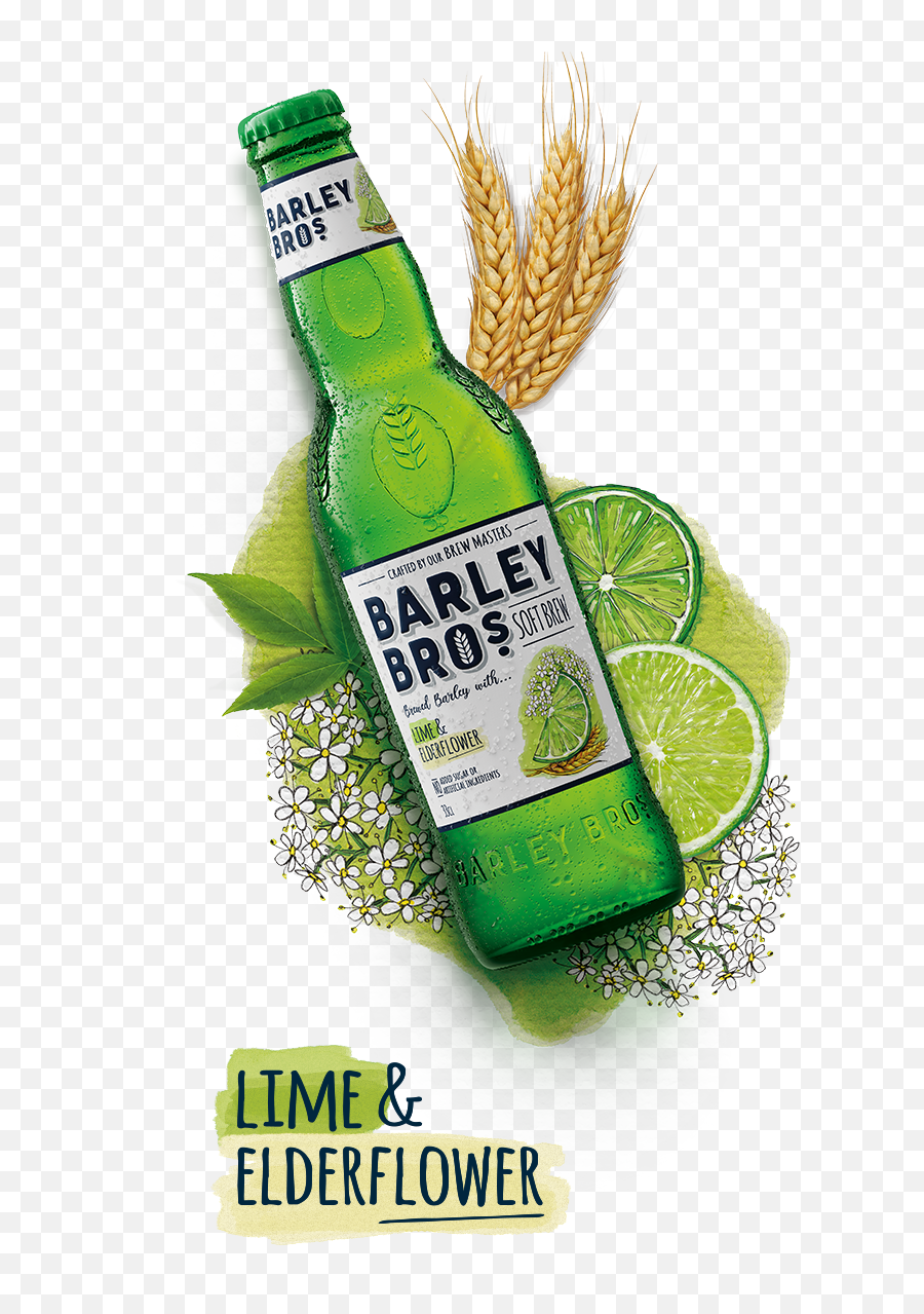 Meet The Brews Lemon U0026 Moroccan Mint Barley Bros - Barley Bros Png,Lemon Png