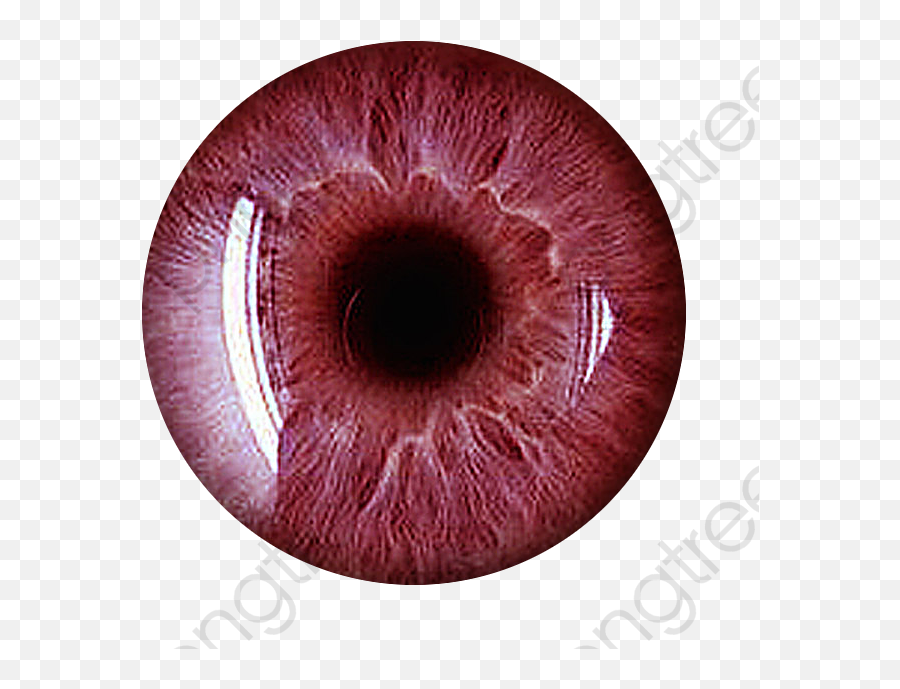 Eye Iris Png - Red Eye Lens Png,Eye Ball Png