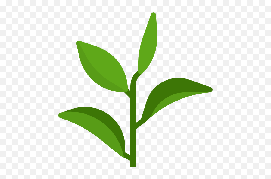 Cropped - Green Plant Icon Png,Green Tea Png