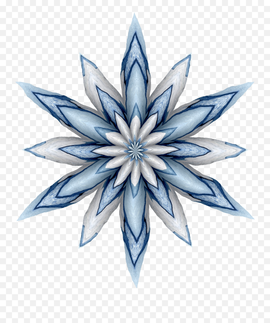 Blue Flower 2020 - 2 Free Stock Photo Public Domain Pictures Sketch Png,Blue Flower Transparent