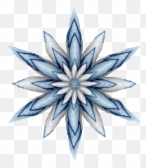 Blue Flower 2020 - 2 Free Stock Photo Public Domain Pictures Sketch Png,Blue Flower Transparent