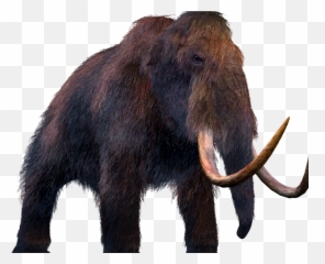 Mammoth Should We Bring Extinct Animals Png