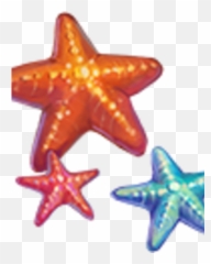 Starfish - Paperweight Png,Starfish Png